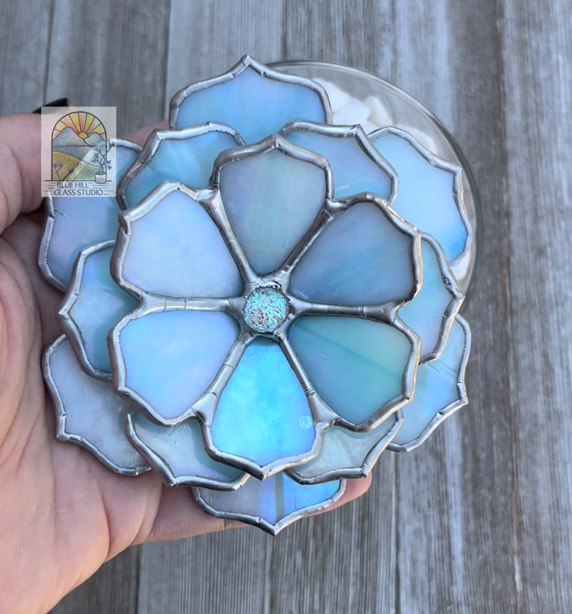 Succulent shop ring holder