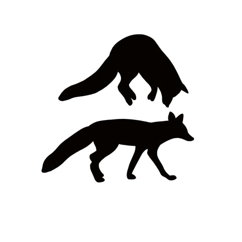 Fox Fusible Glass Precut - 96 COE - 90 COE Glass - For fused glass - Stained Glass - Mosaic Art - Glass Art Supplies - Foxes